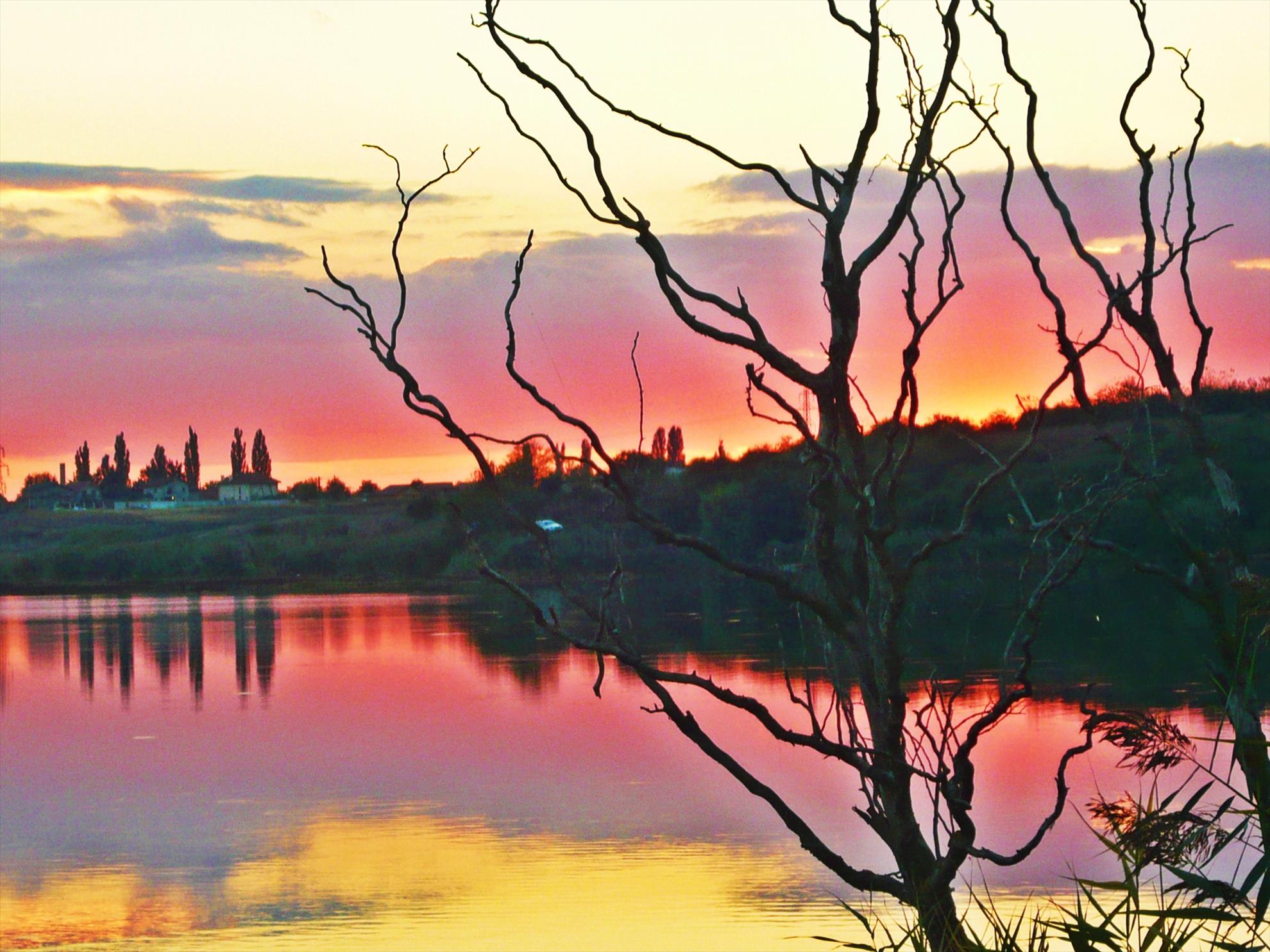 Best-2010 - p1020627.JPG